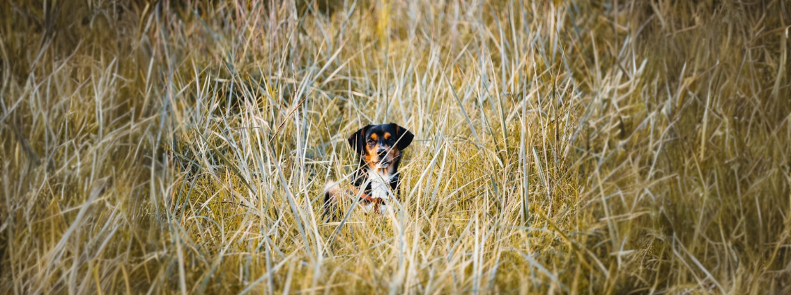 1124x420 Užší  (5)